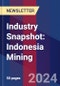 Industry Snapshot: Indonesia Mining - Product Image