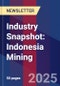 Industry Snapshot: Indonesia Mining - Product Image