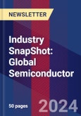 Industry SnapShot: Global Semiconductor- Product Image