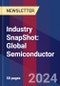 Industry SnapShot: Global Semiconductor - Product Image
