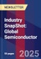 Industry SnapShot: Global Semiconductor - Product Image