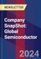 Company SnapShot: Global Semiconductor - Product Image