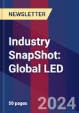 Industry SnapShot: Global LED- Product Image