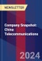 Company Snapshot: China Telecommunications - Product Image