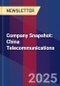 Company Snapshot: China Telecommunications - Product Thumbnail Image