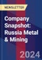 Company Snapshot: Russia Metal & Mining - Product Thumbnail Image