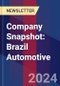 Company Snapshot: Brazil Automotive - Product Image