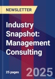 Industry Snapshot: Management Consulting- Product Image