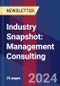 Industry Snapshot: Management Consulting - Product Image