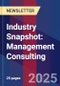 Industry Snapshot: Management Consulting - Product Image