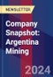 Company Snapshot: Argentina Mining - Product Thumbnail Image
