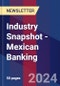 Industry Snapshot - Mexican Banking - Product Image