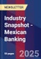 Industry Snapshot - Mexican Banking - Product Image