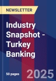 Industry Snapshot - Turkey Banking- Product Image