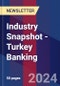 Industry Snapshot - Turkey Banking - Product Image