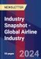 Industry Snapshot - Global Airline Industry - Product Image