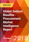 Global Sodium Bisulfite - Procurement Market Intelligence Report - Product Thumbnail Image