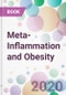 Meta-Inflammation and Obesity - Product Thumbnail Image