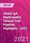 Global IgA Nephropathy Clinical Trial Pipeline Highlights - 2021 - Product Thumbnail Image