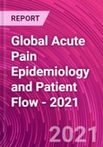 Global Acute Pain Epidemiology and Patient Flow - 2021- Product Image