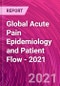 Global Acute Pain Epidemiology and Patient Flow - 2021 - Product Thumbnail Image