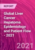 Global Liver Cancer Hepatoma Epidemiology and Patient Flow - 2021- Product Image