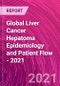 Global Liver Cancer Hepatoma Epidemiology and Patient Flow - 2021 - Product Thumbnail Image