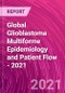 Global Glioblastoma Multiforme Epidemiology and Patient Flow - 2021 - Product Thumbnail Image
