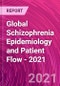 Global Schizophrenia Epidemiology and Patient Flow - 2021 - Product Thumbnail Image