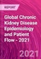 Global Chronic Kidney Disease Epidemiology and Patient Flow - 2021 - Product Thumbnail Image