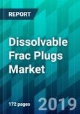 Dissolvable Frac Plugs Market by Material Type (Magnesium Alloys and Poly Glycolic Acid), by Well Type (Horizontal Well and Vertical Well), by Sales Channel Type, and by Region, Forecast, Competitive Analysis, and Growth Opportunity: 2019-2024- Product Image