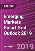 Emerging Markets Smart Grid: Outlook 2019- Product Image