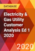 Electricity & Gas Utility Customer Analysis Ed 1 2020- Product Image