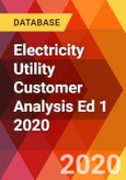Electricity Utility Customer Analysis Ed 1 2020 - Product Image
