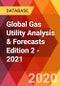 Global Gas Utility Analysis & Forecasts Edition 2 - 2021 - Product Image