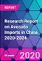 Research Report on Avocado Imports in China 2020-2024 - Product Thumbnail Image