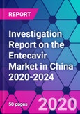 Investigation Report on the Entecavir Market in China 2020-2024- Product Image