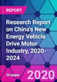 Research Report on China's New Energy Vehicle Drive Motor Industry, 2020-2024- Product Image