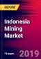 Indonesia Mining Market, Size, Share, Outlook and Growth Opportunities 2020-2026 - Product Thumbnail Image