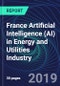 France Artificial Intelligence (AI) in Energy and Utilities Industry Databook Series (2016-2025) - AI Spending with 15+ KPIs, Market Size and Forecast Across 4+ Application Segments, AI Domains, and Technology (Applications, Services, Hardware) - Product Thumbnail Image