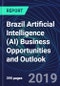 Brazil Artificial Intelligence (AI) Business Opportunities and Outlook Databook Series (2016-2025) - AI Market Size / Spending Across 18 Sectors, 140+ Application Segments, AI Domains, and Technology (Applications, Services, Hardware) - Product Thumbnail Image