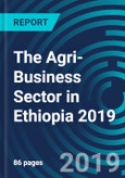 The Agri-Business Sector in Ethiopia 2019- Product Image