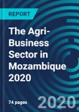 The Agri-Business Sector in Mozambique 2020- Product Image