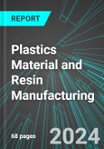 Plastics Material and Resin Manufacturing (U.S.): Analytics, Extensive Financial Benchmarks, Metrics and Revenue Forecasts to 2030, NAIC 325211- Product Image