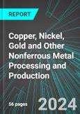 Copper, Nickel, Gold and Other Nonferrous Metal (except Aluminum) Processing and Production (U.S.): Analytics, Extensive Financial Benchmarks, Metrics and Revenue Forecasts to 2030, NAIC 331400- Product Image