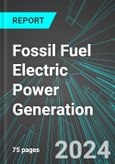 Fossil Fuel Electric Power Generation (U.S.): Analytics, Extensive Financial Benchmarks, Metrics and Revenue Forecasts to 2030, NAIC 221112- Product Image