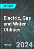Electric, Gas and Water Utilities (Broad-Based) (U.S.): Analytics, Extensive Financial Benchmarks, Metrics and Revenue Forecasts to 2030, NAIC 220000- Product Image