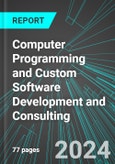 Computer Programming and Custom Software Development and Consulting (U.S.): Analytics, Extensive Financial Benchmarks, Metrics and Revenue Forecasts to 2030, NAIC 541511- Product Image