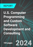 U.S. Computer Programming and Custom Software Development and Consulting: Analytics, Extensive Financial Benchmarks, Metrics and Revenue Forecasts to 2030- Product Image
