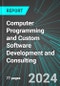 Computer Programming and Custom Software Development and Consulting (U.S.): Analytics, Extensive Financial Benchmarks, Metrics and Revenue Forecasts to 2030, NAIC 541511 - Product Thumbnail Image